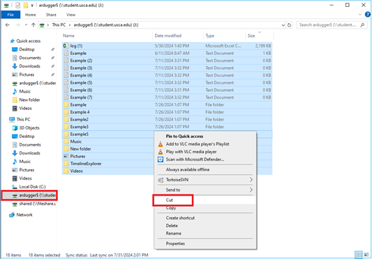 A screenshot of a computer

Description automatically generated